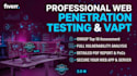 perform professional penetration testing and vulnerability assessment
