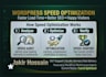 do wordpress speed optimization and page load fix