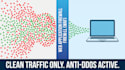 do website security hardening waf setup and anti ddos protection