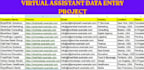 do expert data entry ms excel