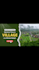 design professional youtub thumbnail