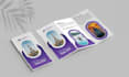 design professional brochures, catalogs and company profiles