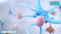 create 3d antibody binding protein interaction and moa animation