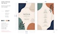 create a professional packaging dieline template