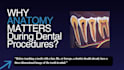 help with dental assignments and presentations