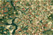 draw creative map illustrations with custom style