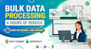 do 3 hours of accurate data entry, copy paste, PDF to excel