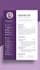 create professional CV and resume writing