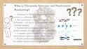 design professional academic, scientific and research presentations