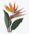digitize your logo in a hour