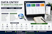 do excel data entry and data cleaning