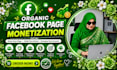 earnings and adjust your facebook pages monetization