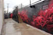 design graffiti designs, murals and wall arts
