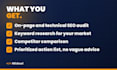 do a complete SEO analysis and audit of your website
