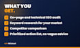 do a complete SEO analysis and audit of your website