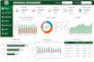 create professional excel dashboards and data visualization