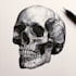 create unique skull artwork for tattoos and merchandise