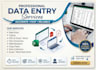 do professional data entry and virtual assistance services