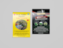 create custom flyers professional business flyer  event flyer and postcards
