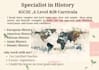tutor cambrige igcse and a level history and islamic studies