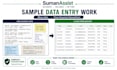 do accurate data entry, copy paste, excel and word data entry