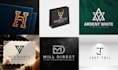 design a professional brand logo design