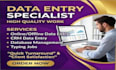 professional data entry and excel services