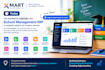 develop custom erp software for accounting business