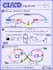 build secure ci cd pipelines with github actions jenkins gitlab and argo cd