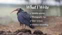 write professional wildlife photography articles