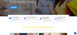 build responsive custom wordpress website or custom php code
