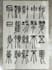 write beautiful chinese calligraphy
