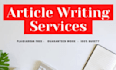 write professional programming educational articles