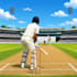 provide practical cricket batting tips and guidance