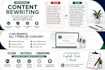 professionally rewrite and improve your content