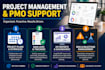project management, pmo support, data analysis and dashboard