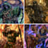 create dnd character design, concept art and illustration