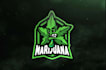 design a professional cannabis and marijuana logo