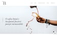 build or customize your wordpress website