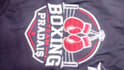 embrodery digitizing pes dst
