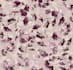 design watercolor seamless pattern and textile graphics