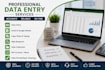 do accurate data entry, excel, copy paste and web research