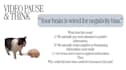 create english lesson plan and teaching materials