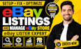 setup fix optimize ebay listings and manage ebay store ebay dropshipping lister
