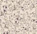 design boho and botanical seamless pattern for clothing