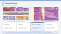 design a professional academic powerpoint presentation