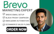 setup brevo black friday email automation ecommerce customer segementation