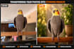 professionally enhance and edit your photos