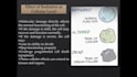 create professional medical powerpoint presentations
