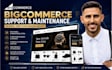 bigcommerce fix bigcommerce bug fix bigcommerce support bigcommerce maintenance